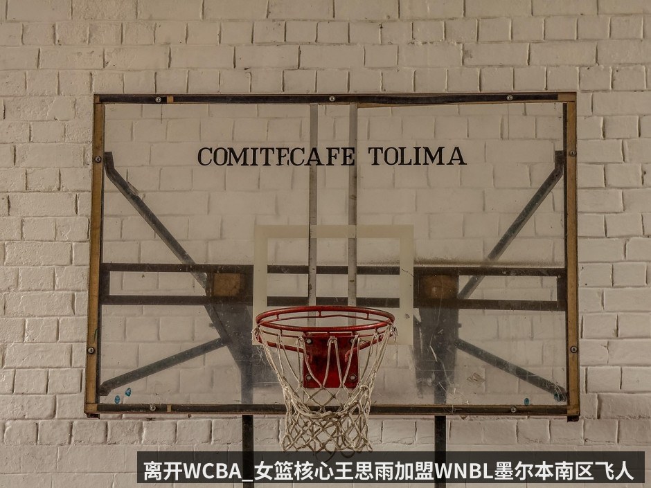 离开WCBA_女篮核心王思雨加盟WNBL墨尔本南区飞人 6月归队集训